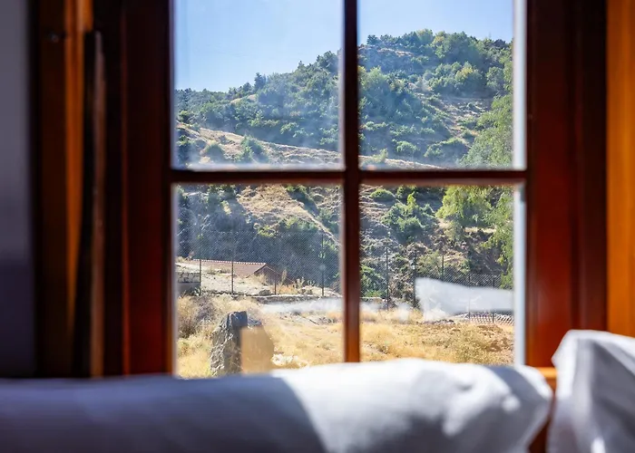 Hotel Macedonian Village & *